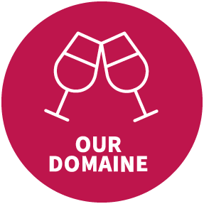 visiter le site de nos vins